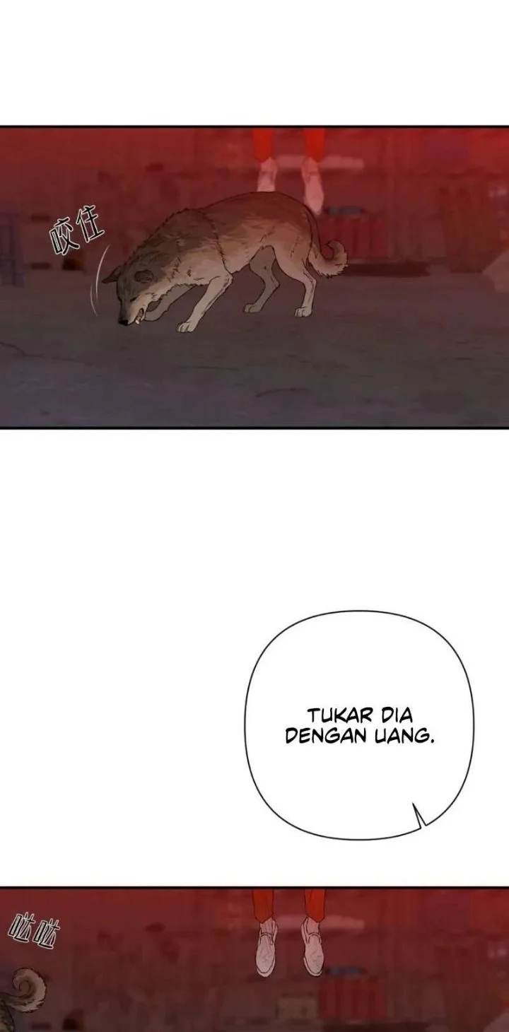 Dog Eat Dog Chapter 4 Halaman 12
