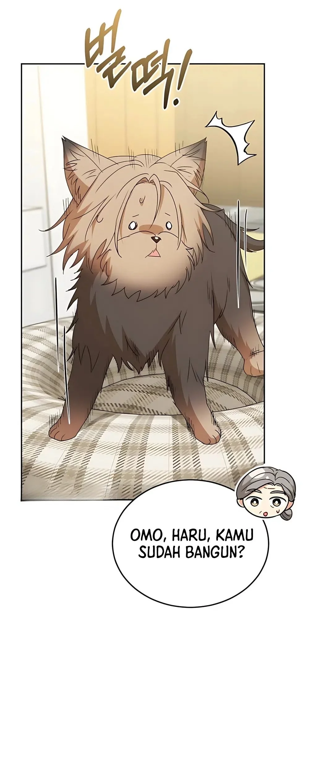 Hello Veterinarian Chapter 103.2 Halaman 47