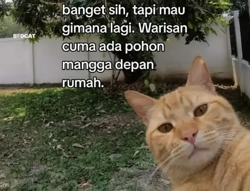 My Academic System Is Making Me Date Chapter 32 Halaman 34