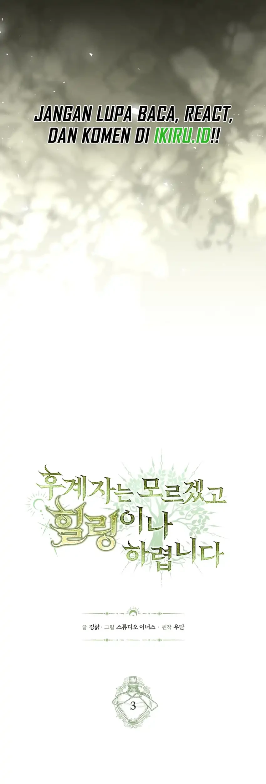 Never Mind The Heir Ill Focus On Healing Chapter 3 Halaman 17