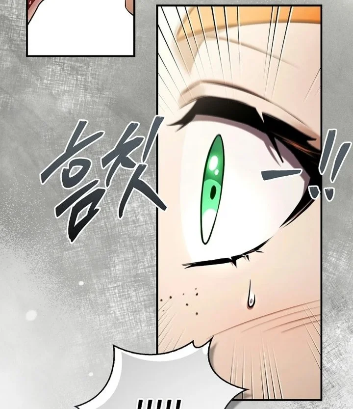 Never Mind The Heir Ill Focus On Healing Chapter 31 Halaman 47