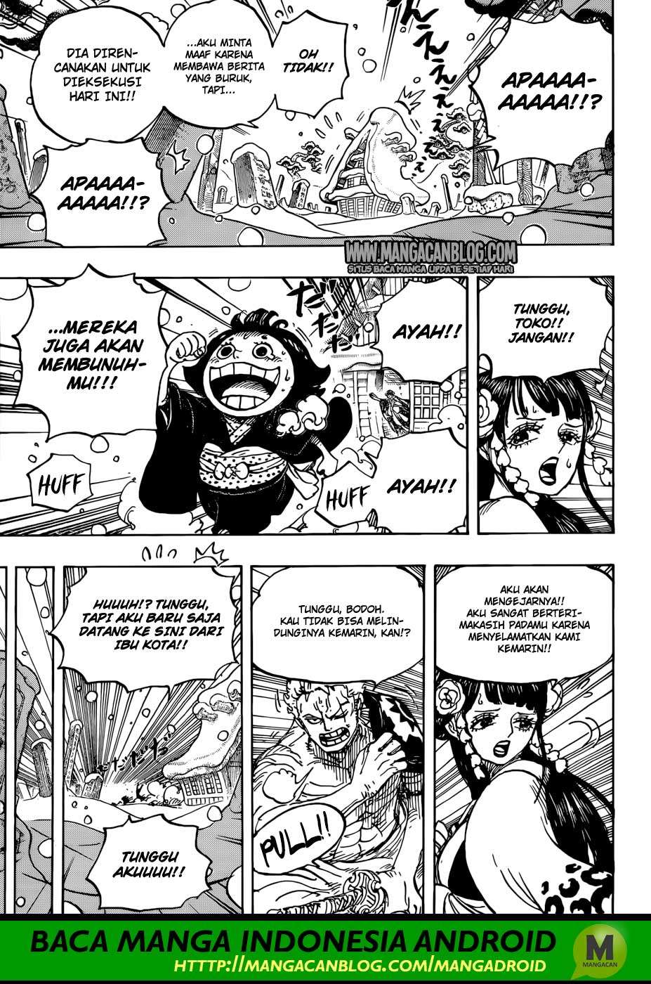 One Piece Chapter 941 Halaman 14