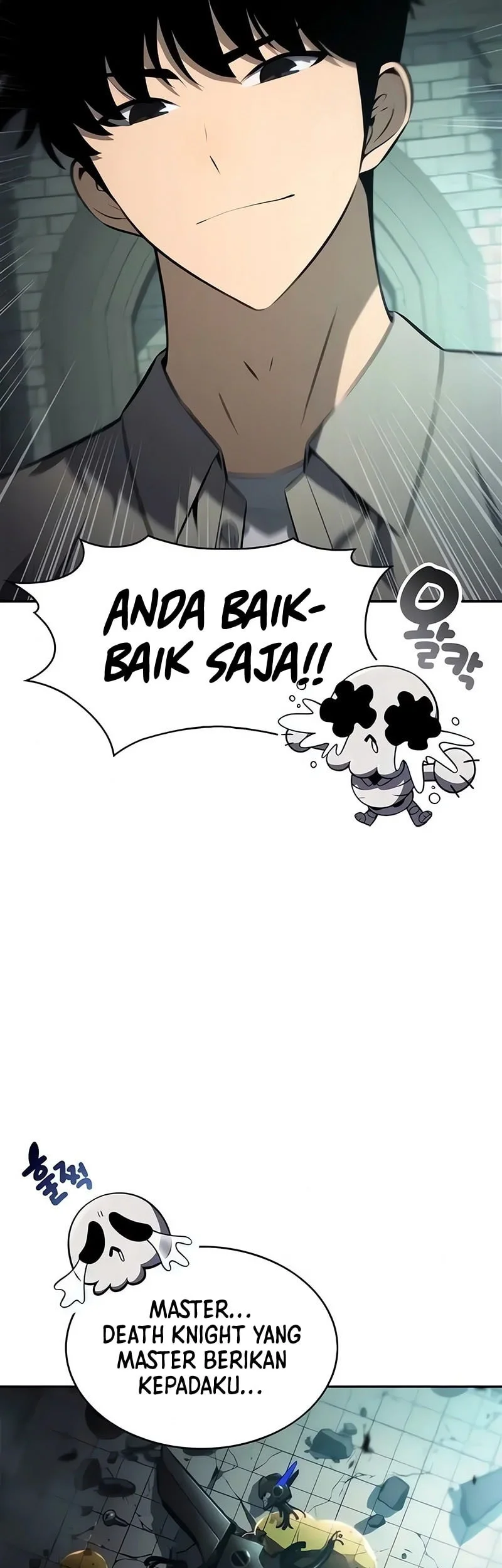 Solo Max Level Newbie Chapter 255 Halaman 26