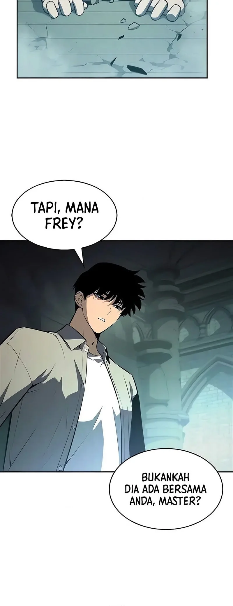 Solo Max Level Newbie Chapter 255 Halaman 29