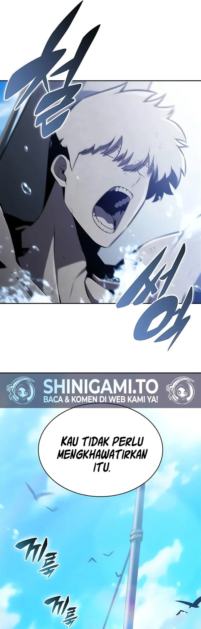 Solo Max Level Newbie Chapter 256 Halaman 61