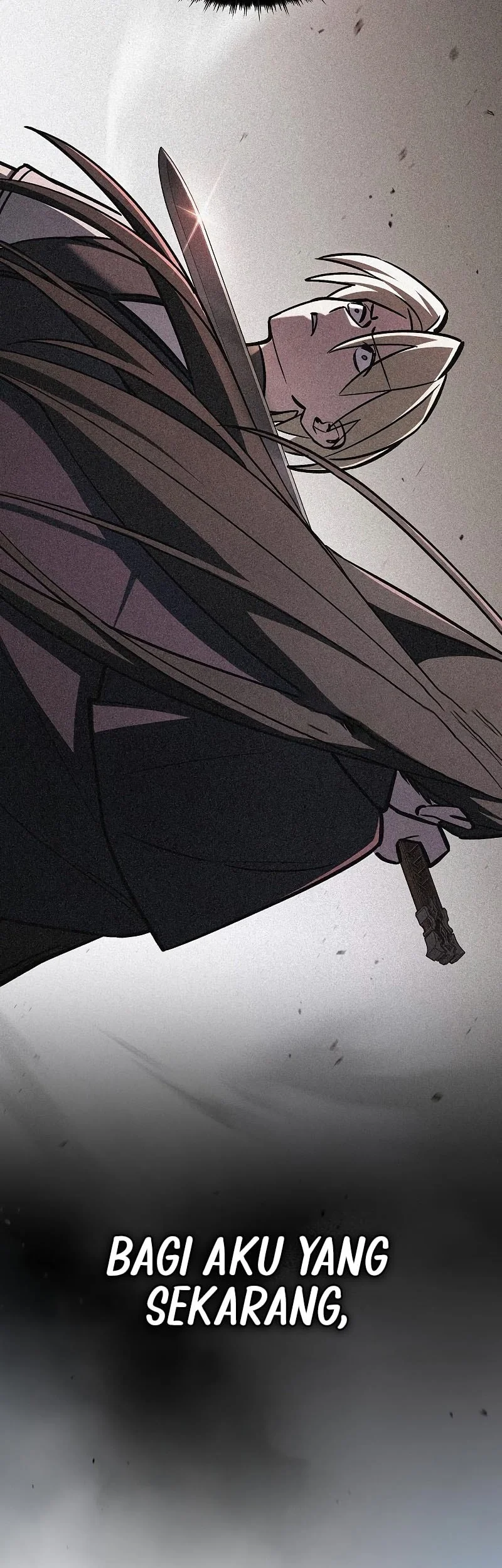 Sword Devouring Swordmaster Chapter 17 Halaman 12