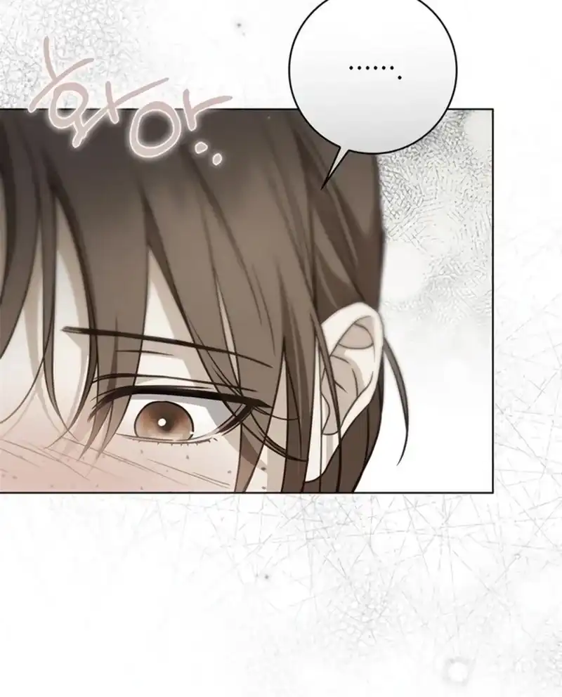 The Counts Secret Maid Chapter 104 Halaman 104