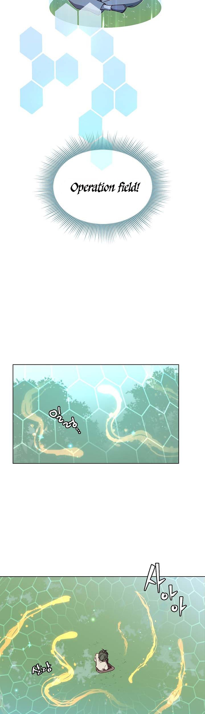 The Max Leveled Hero Will Return Chapter 6 Halaman 14